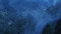 音乐短片 - 東山花灯路