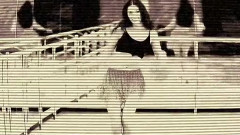 欧美群星 - Tell Me Why