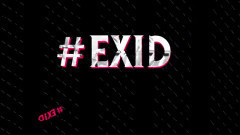 EXID - 1ST EXID FANCLUB 'LEGGO PARTY'