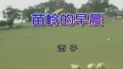 音乐短片,民乐群星 - 苗岭的早晨(笛子)