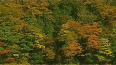 音乐短片 - 莫斯科郊外的晚上(口哨)