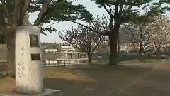 音乐短片 - 枉凝眉(葫芦丝)