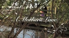Davina Joy - A Mothers Love