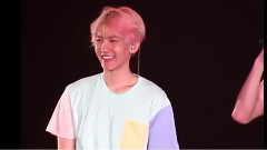 EXO,边伯贤(EXO) - 边伯贤安利向 就是喜欢啵啵虎!可爱合集
