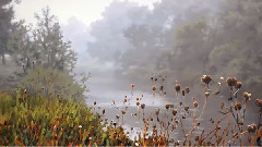 音乐短片 - Alexey Adamov