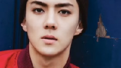 EXO,Seventeen,NCT,BigBang,GOT7 - 油管个人向 最纯天然韩国男爱豆TOP20