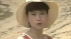 凤飞飞 - 夏艳