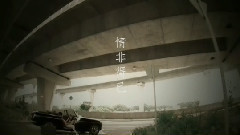 林苑 - 情非得已