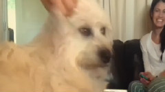 音乐短片 - Goldmine