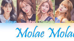 I.B.I - Molae Molae认人版