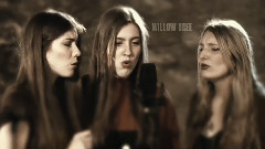 欧美群星 - Willow Tree