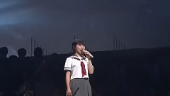 日本群星 - さすらい鸥2004