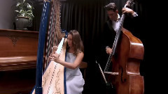 模仿翻唱 - Harp