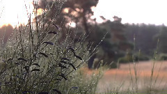 音乐短片 - Tai Chi