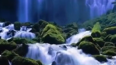 音乐短片 - 帕维尔.博罗金,我需要你