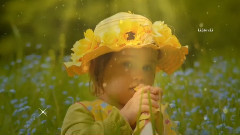 音乐短片 - 柔声细语(Sweet Whispers)