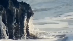 音乐短片 - 夜的记忆