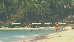 音乐短片 - 月亮代表我的心(笛子)