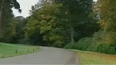 音乐短片 - 秘密庭院