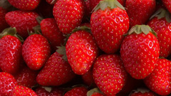 音乐短片 - 深度和对比度