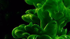 音乐短片 - 超高清游戏涂料