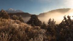 音乐短片 - 加利福尼亚