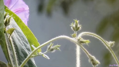 音乐短片 - The Moment