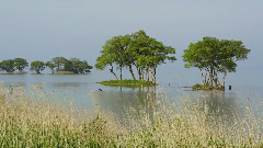 音乐短片 - 远方斜阳路