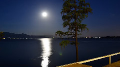 音乐短片 - 家.大理