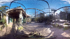 欧美群星 - The Eye Of The Tiger (360VR Ver.)