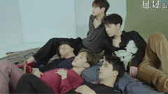 BEAST - THE REAL BEAST