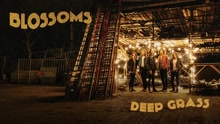 Deep Grass 试听版