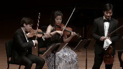 欧美群星 - Schubert Rondo In A Major For Violin And String Quartet, D 438