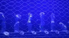 舞蹈视频 - 女子群舞