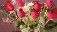 音乐短片,欧美群星 - 康乃馨