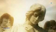 音乐短片 - 秋思