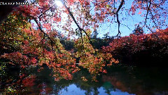 音乐短片 - 闷骚