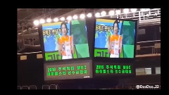 TWICE - 偶像运动会