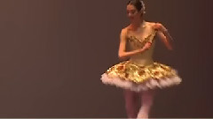 欧美群星 - Dubai Ballet Grand Gala 2016