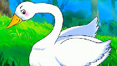 音乐短片 - 丑小鸭与白天鹅