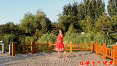 舞蹈视频 - 天上凉都