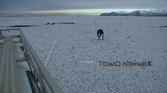欧美群星 - Stellar Tombs