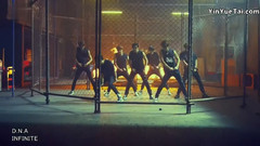 Infinite,Infinite-H,Infinite-F,金圣圭(Infinite),L(Infinite) - D.N.A