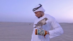 欧美群星 - ARAB MONEY