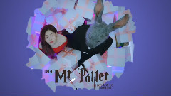 DIA - Mr. Potter - YEBIN 预告版