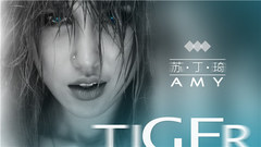 苏丁琦 - Tiger