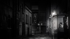 华语群星 - 蝙蝠