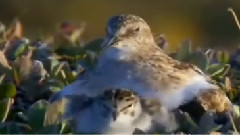 音乐短片 - 友谊天长地久