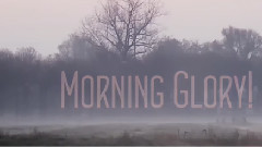 音乐短片 - What's The Story Morning Glory!