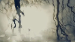 欧美群星 - Will O The Wisp